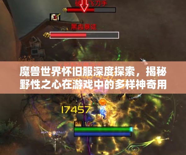 魔兽世界怀旧服深度探索，揭秘野性之心在游戏中的多样神奇用途