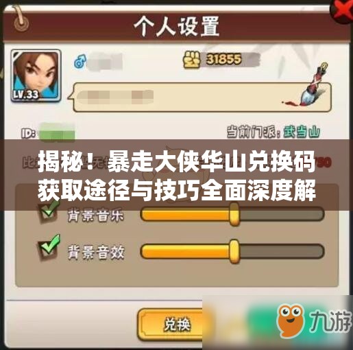 揭秘！暴走大侠华山兑换码获取途径与技巧全面深度解析攻略