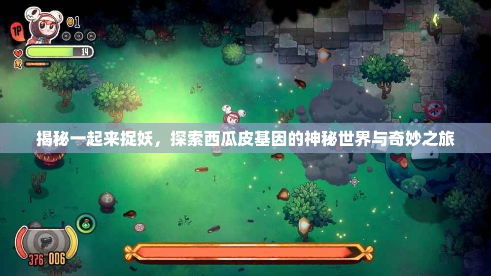 揭秘一起来捉妖，探索西瓜皮基因的神秘世界与奇妙之旅