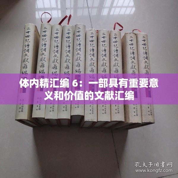 体内精汇编 6：一部具有重要意义和价值的文献汇编