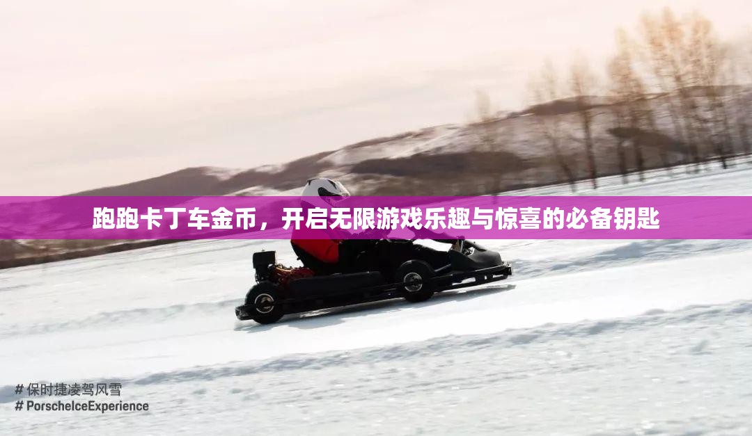 跑跑卡丁车金币，开启无限游戏乐趣与惊喜的必备钥匙