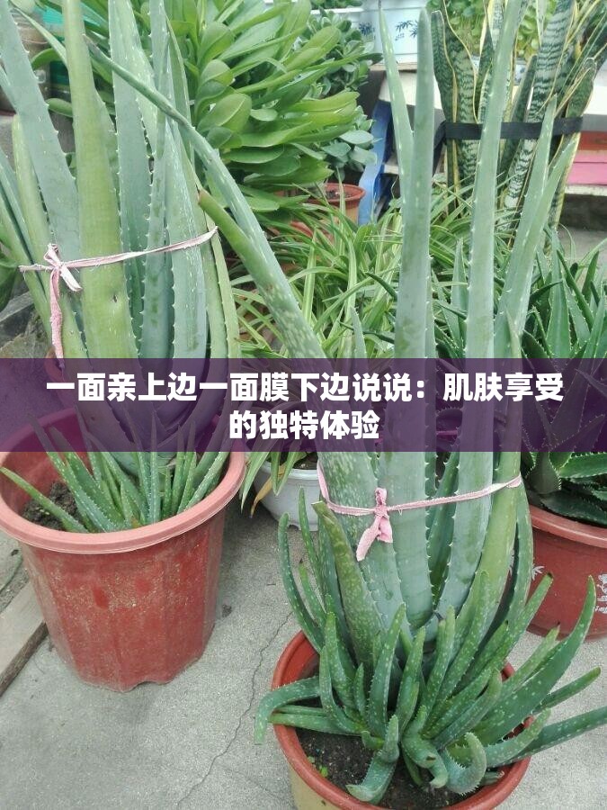 一面亲上边一面膜下边说说：肌肤享受的独特体验