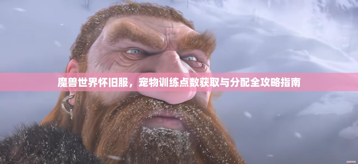 魔兽世界怀旧服，宠物训练点数获取与分配全攻略指南