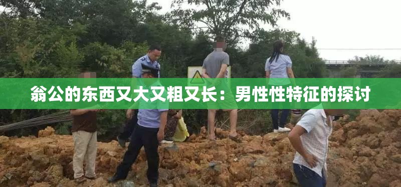 翁公的东西又大又粗又长：男性性特征的探讨