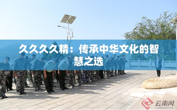 久久久久精：传承中华文化的智慧之选