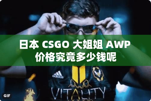 日本 CSGO 大姐姐 AWP 价格究竟多少钱呢