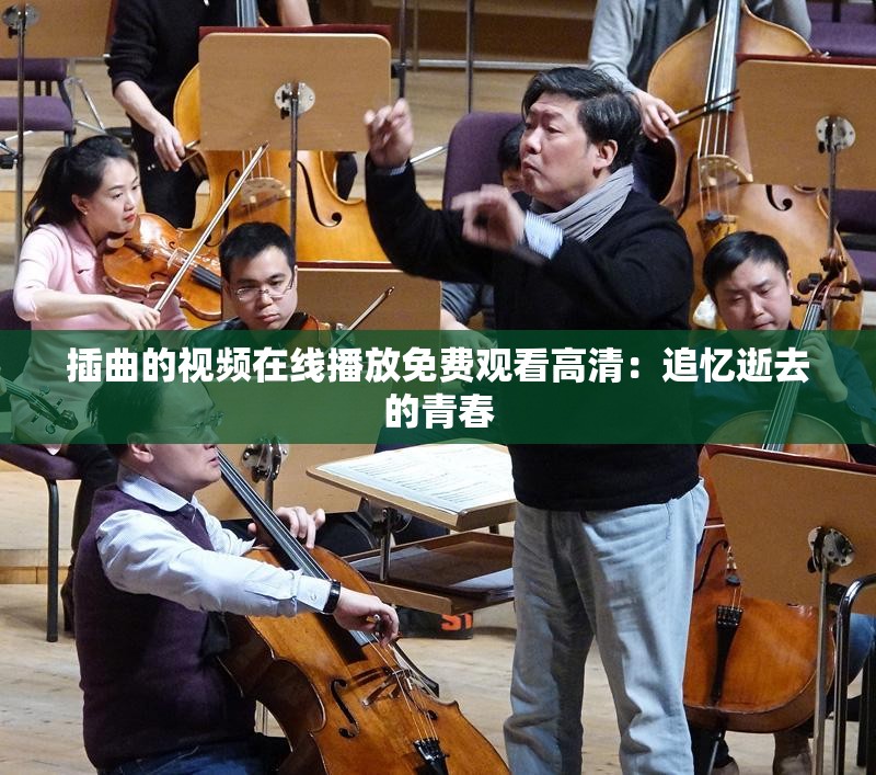 插曲的视频在线播放免费观看高清：追忆逝去的青春