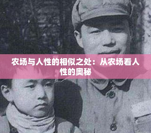 农场与人性的相似之处：从农场看人性的奥秘