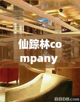 仙踪林company Limited19：打造梦幻茶饮世界