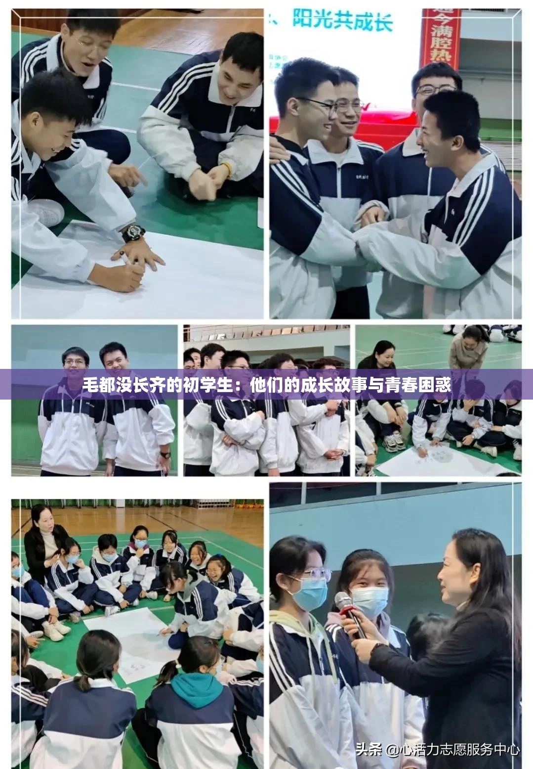 毛都没长齐的初学生：他们的成长故事与青春困惑