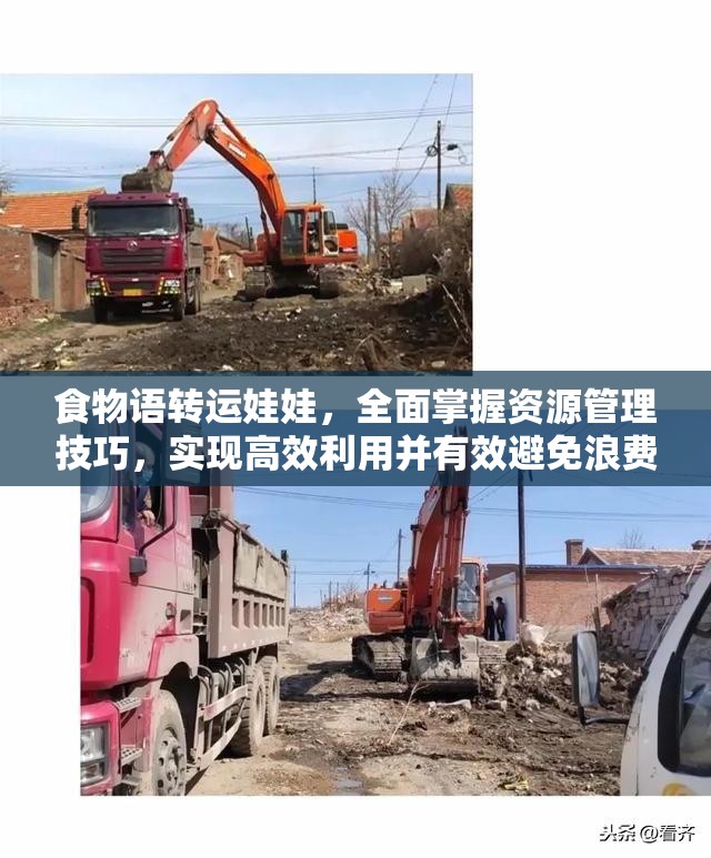 食物语转运娃娃，全面掌握资源管理技巧，实现高效利用并有效避免浪费的实用攻略