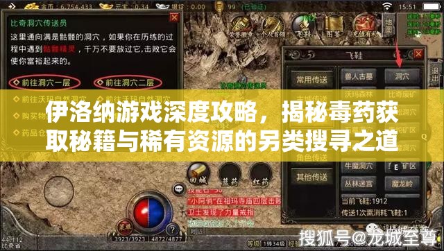伊洛纳游戏深度攻略，揭秘毒药获取秘籍与稀有资源的另类搜寻之道