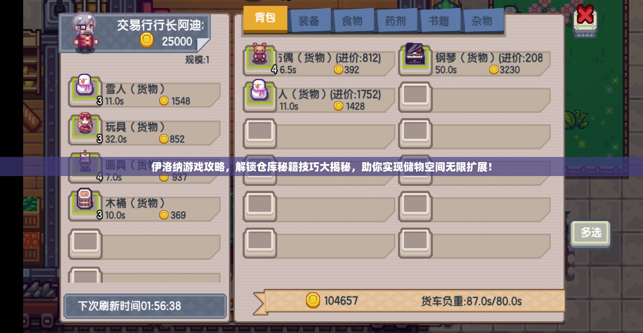 伊洛纳游戏攻略，解锁仓库秘籍技巧大揭秘，助你实现储物空间无限扩展！