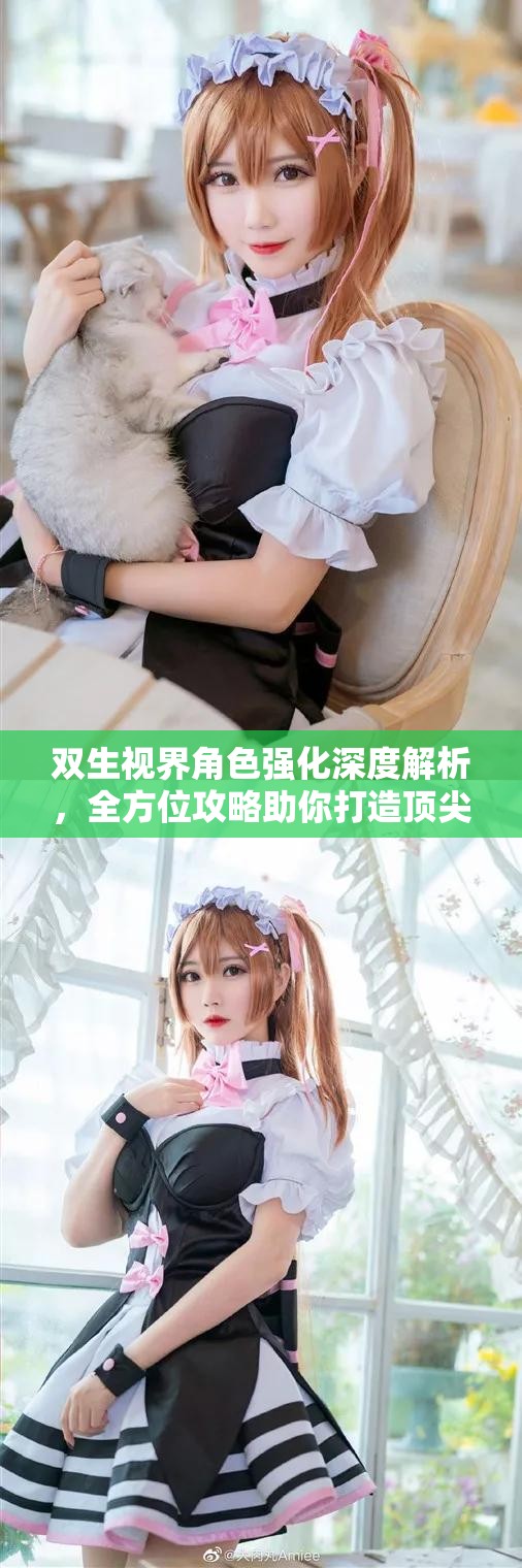 双生视界角色强化深度解析，全方位攻略助你打造顶尖无敌战队