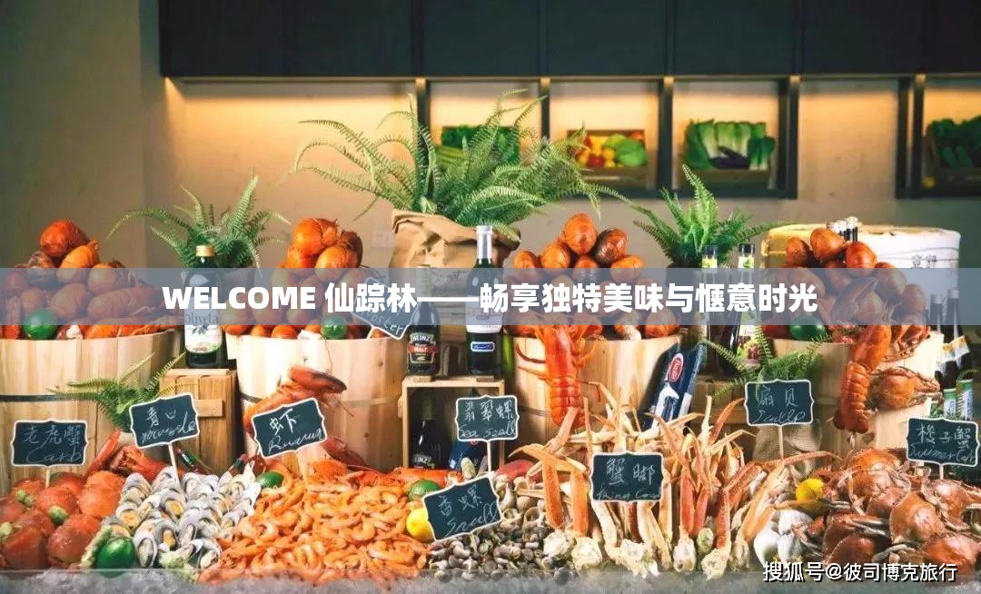 WELCOME 仙踪林——畅享独特美味与惬意时光