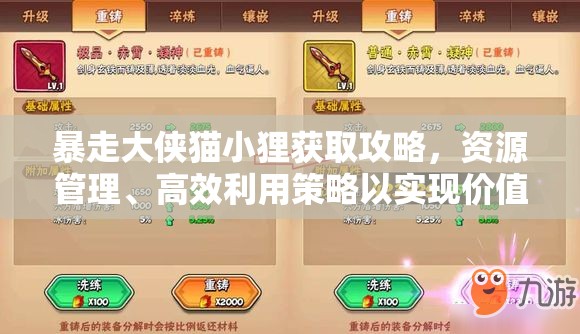 暴走大侠猫小狸获取攻略，资源管理、高效利用策略以实现价值最大化