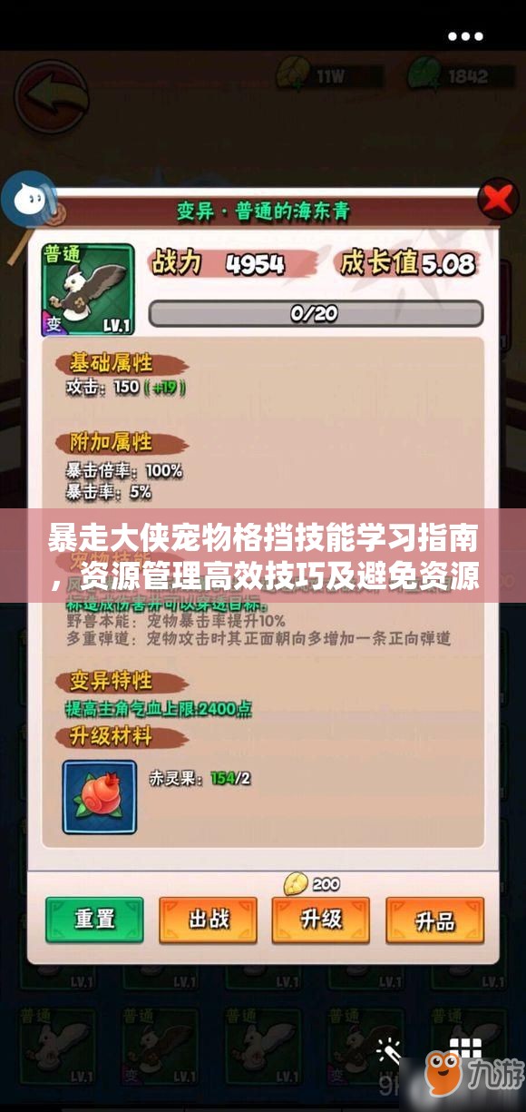 暴走大侠宠物格挡技能学习指南，资源管理高效技巧及避免资源浪费策略