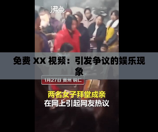免费 XX 视频：引发争议的娱乐现象
