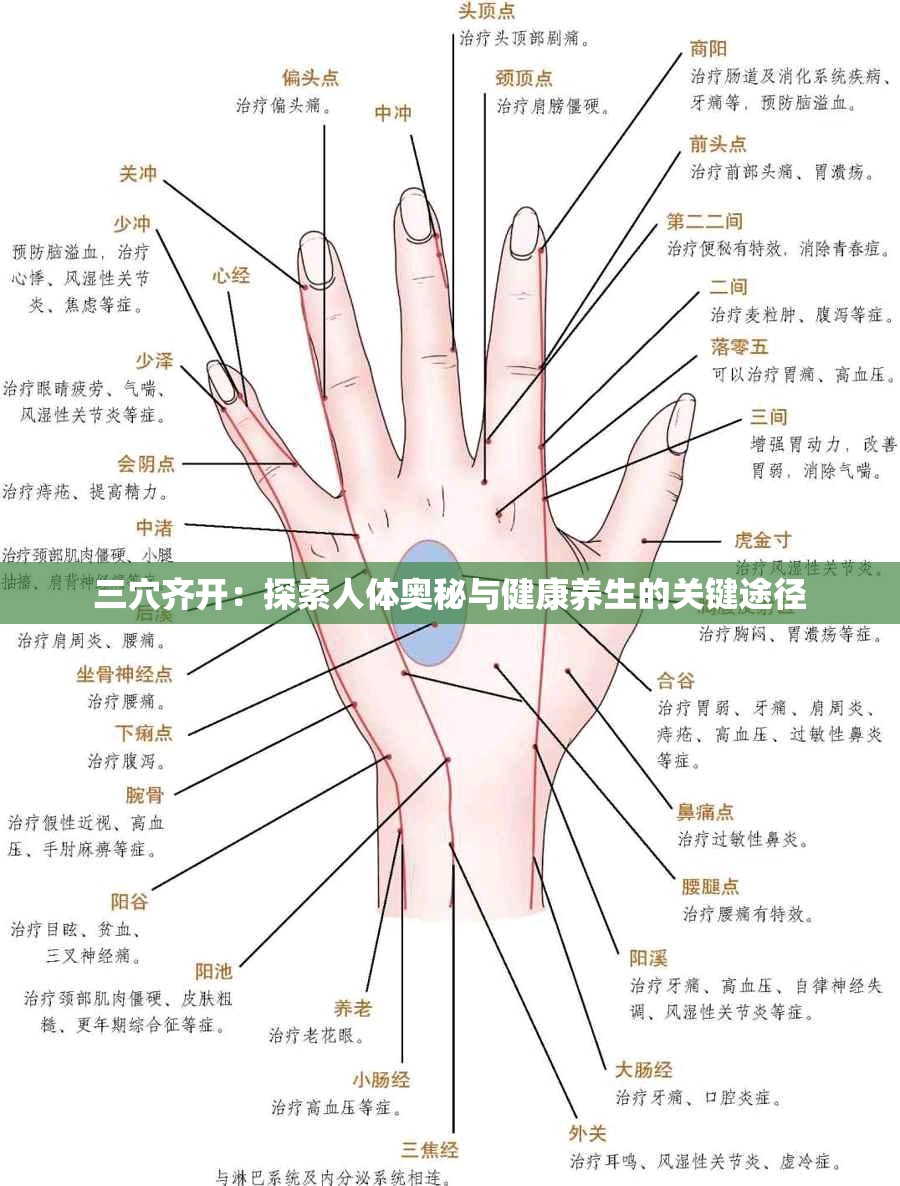 三穴齐开：探索人体奥秘与健康养生的关键途径