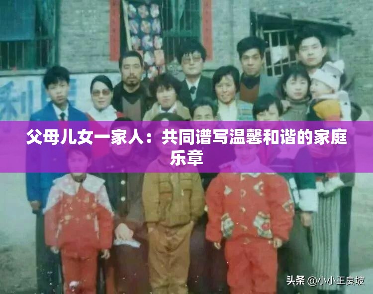 父母儿女一家人：共同谱写温馨和谐的家庭乐章
