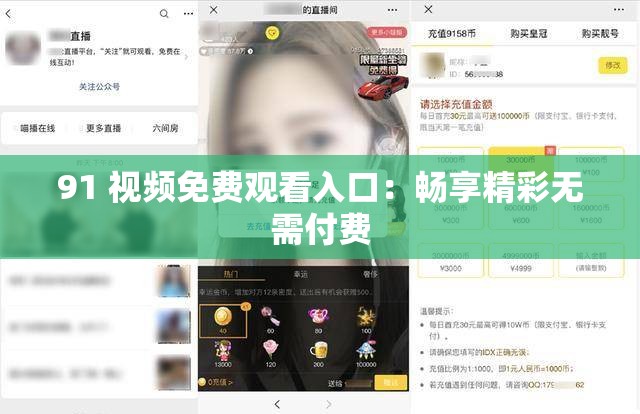91 视频免费观看入口：畅享精彩无需付费