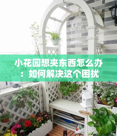 小花园想夹东西怎么办：如何解决这个困扰