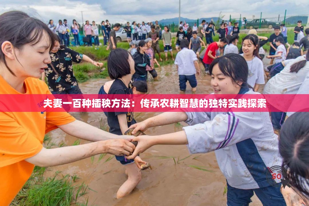 夫妻一百种插秧方法：传承农耕智慧的独特实践探索