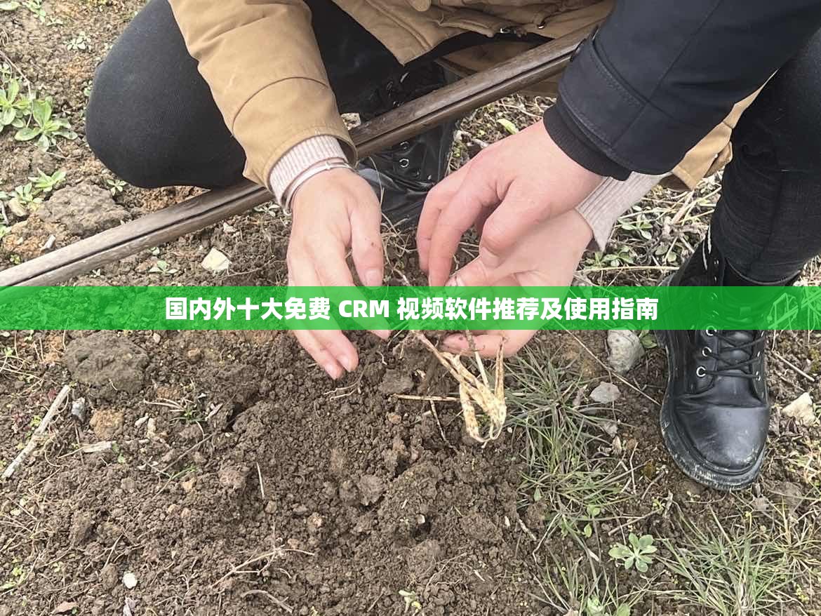 国内外十大免费 CRM 视频软件推荐及使用指南