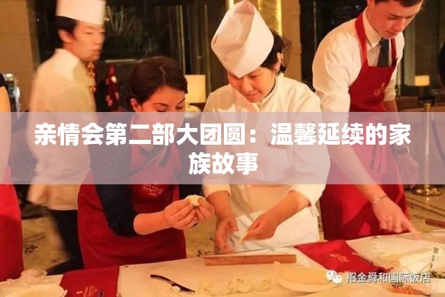 亲情会第二部大团圆：温馨延续的家族故事