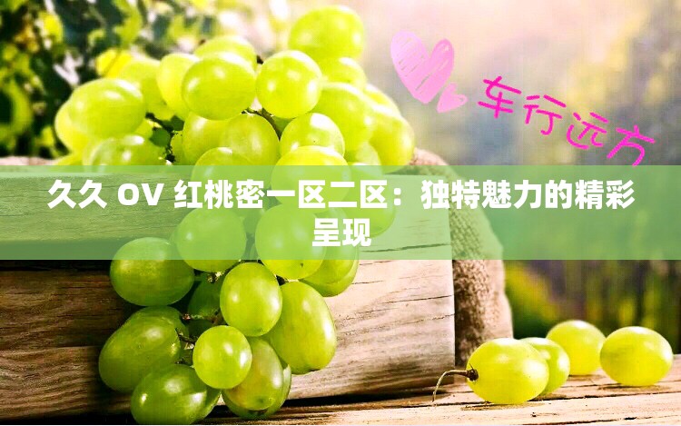 久久 OV 红桃密一区二区：独特魅力的精彩呈现