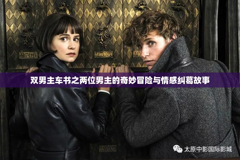 双男主车书之两位男主的奇妙冒险与情感纠葛故事