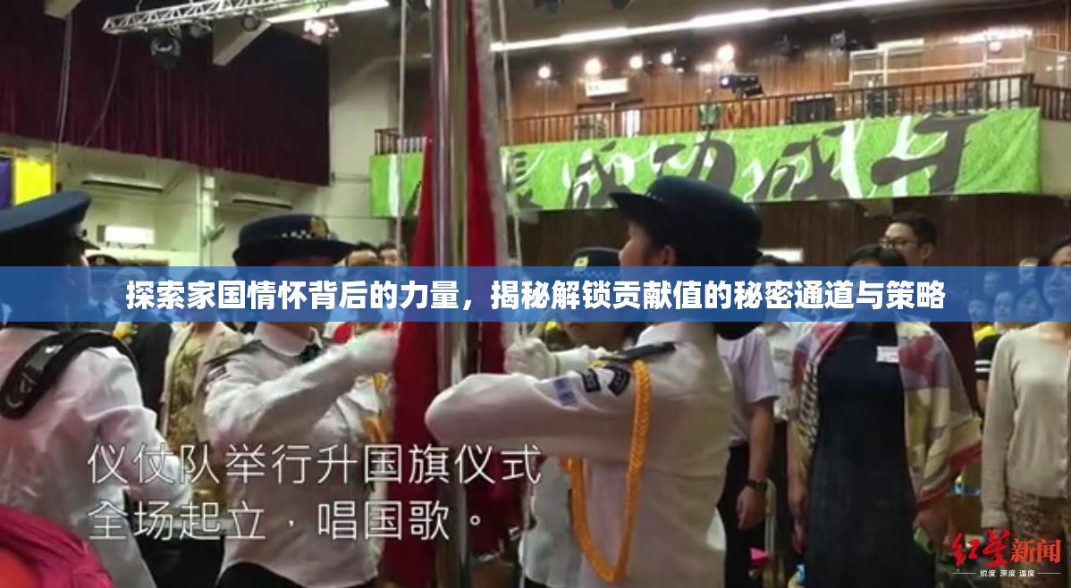 探索家国情怀背后的力量，揭秘解锁贡献值的秘密通道与策略