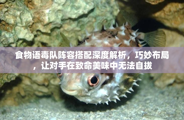 食物语毒队阵容搭配深度解析，巧妙布局，让对手在致命美味中无法自拔