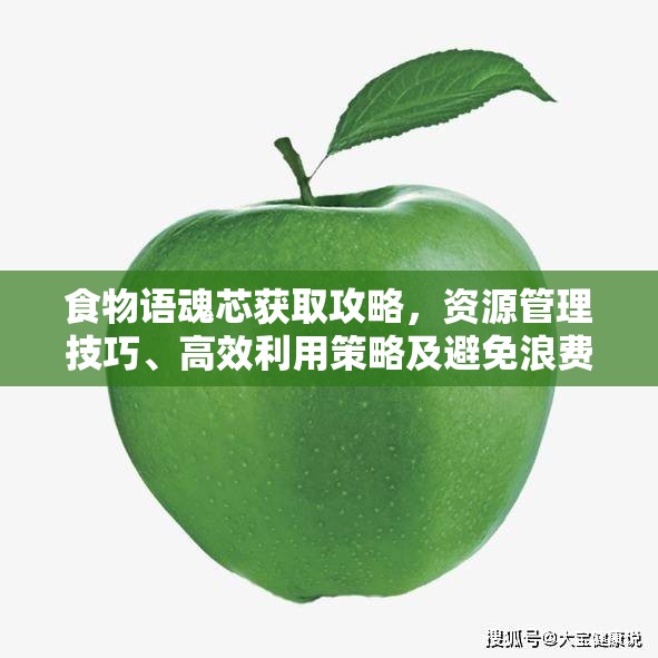 食物语魂芯获取攻略，资源管理技巧、高效利用策略及避免浪费方法