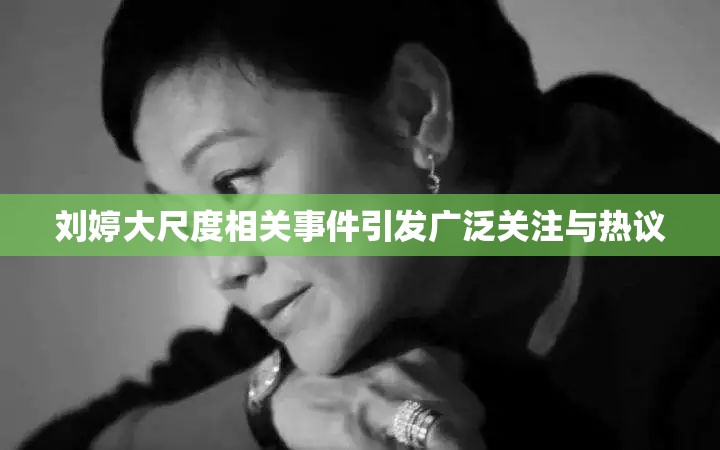 刘婷大尺度相关事件引发广泛关注与热议