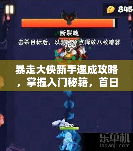 暴走大侠新手速成攻略，掌握入门秘籍，首日晋升长老成就梦想！