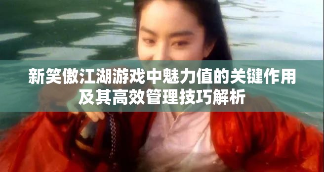 新笑傲江湖游戏中魅力值的关键作用及其高效管理技巧解析