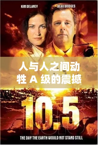 人与人之间动牲 A 级的震撼故事与深刻探讨