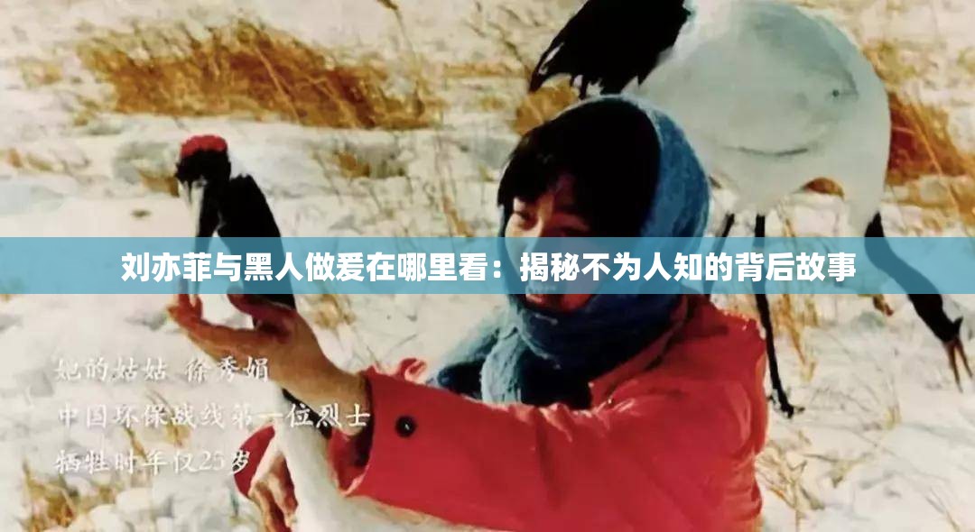 刘亦菲与黑人做爰在哪里看：揭秘不为人知的背后故事