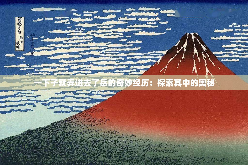 一下子就弄进去了岳的奇妙经历：探索其中的奥秘