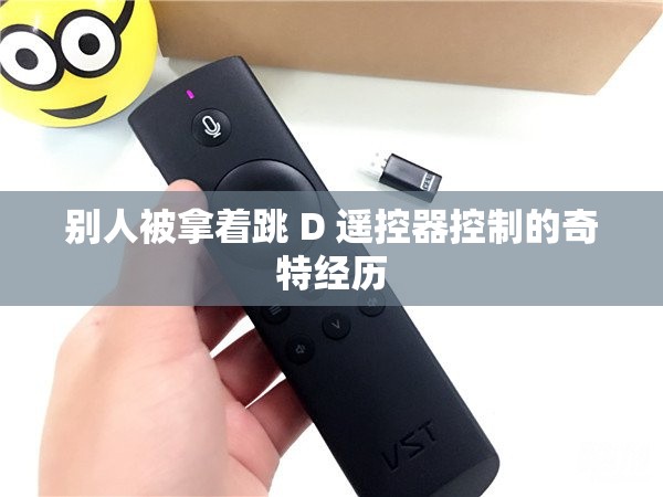 别人被拿着跳 D 遥控器控制的奇特经历
