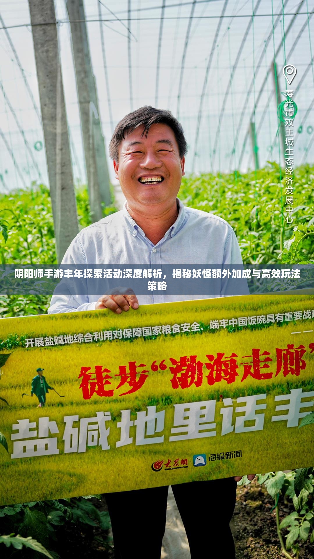 阴阳师手游丰年探索活动深度解析，揭秘妖怪额外加成与高效玩法策略