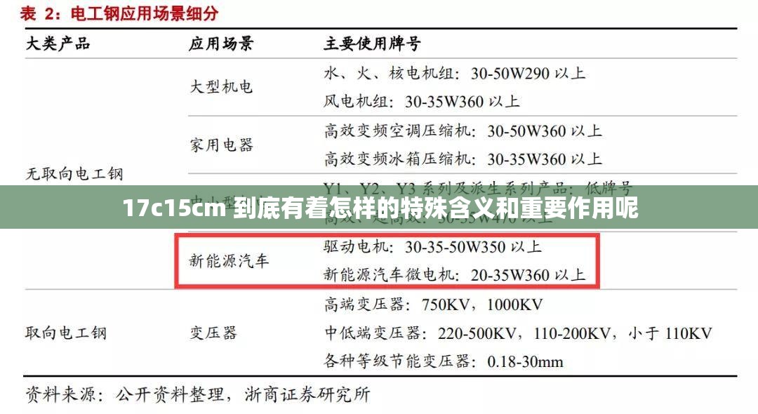 17c15cm 到底有着怎样的特殊含义和重要作用呢