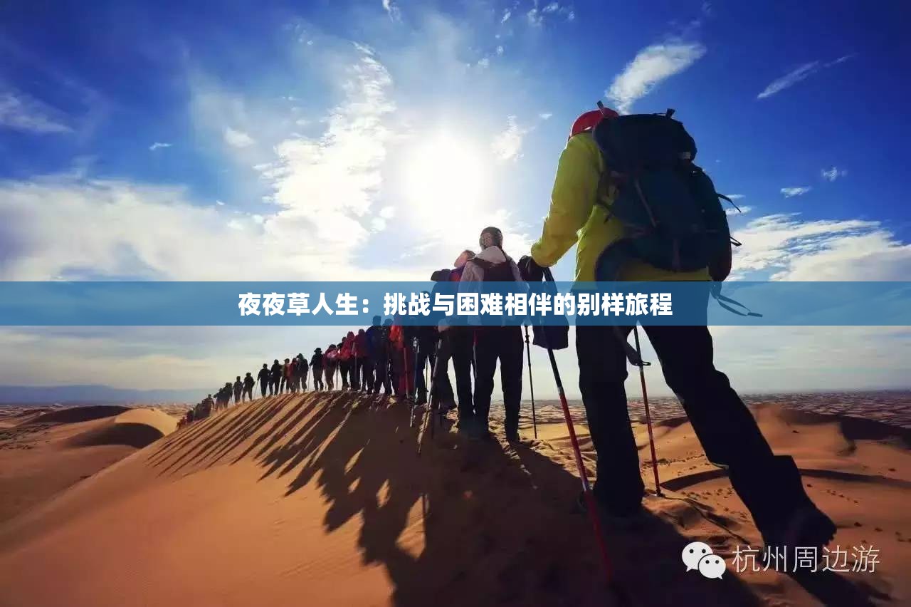 夜夜草人生：挑战与困难相伴的别样旅程