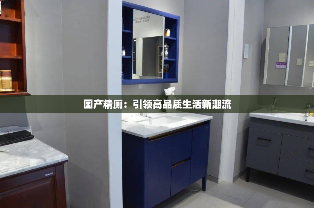 国产精厕：引领高品质生活新潮流