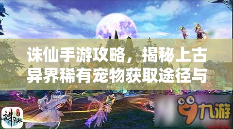 诛仙手游攻略，揭秘上古异界稀有宠物获取途径与管理养护策略