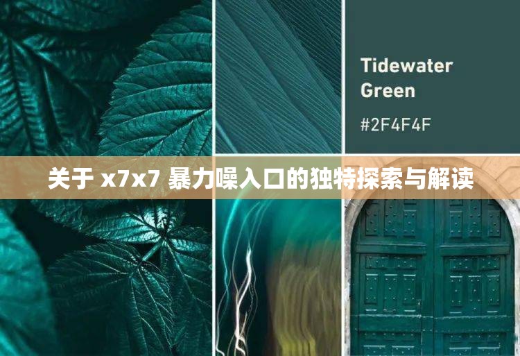 关于 x7x7 暴力噪入口的独特探索与解读