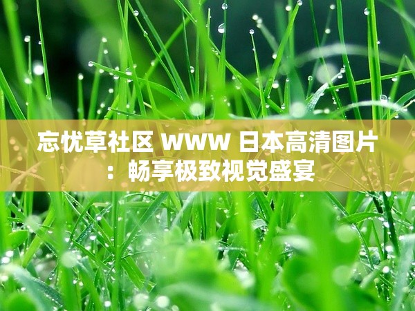 忘忧草社区 WWW 日本高清图片：畅享极致视觉盛宴
