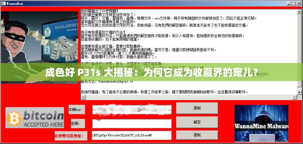 成色好 P31s 大揭秘：为何它成为收藏界的宠儿？