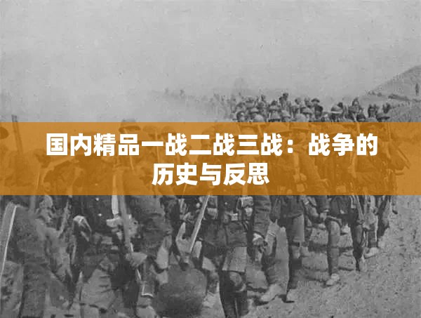 国内精品一战二战三战：战争的历史与反思